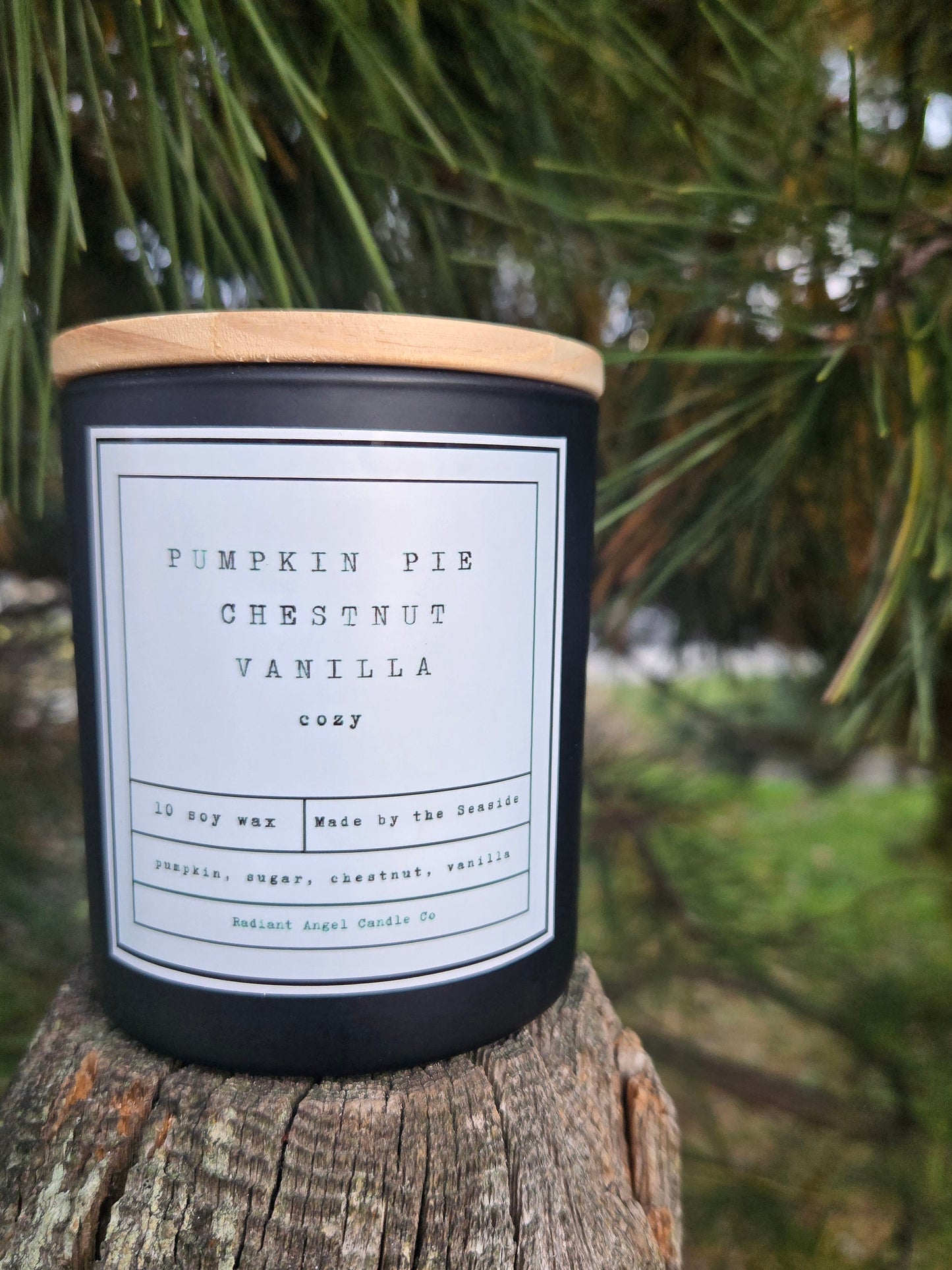 Pumpkin Pie, Roasted Chestnut & Vanilla 10oz Soy Candle