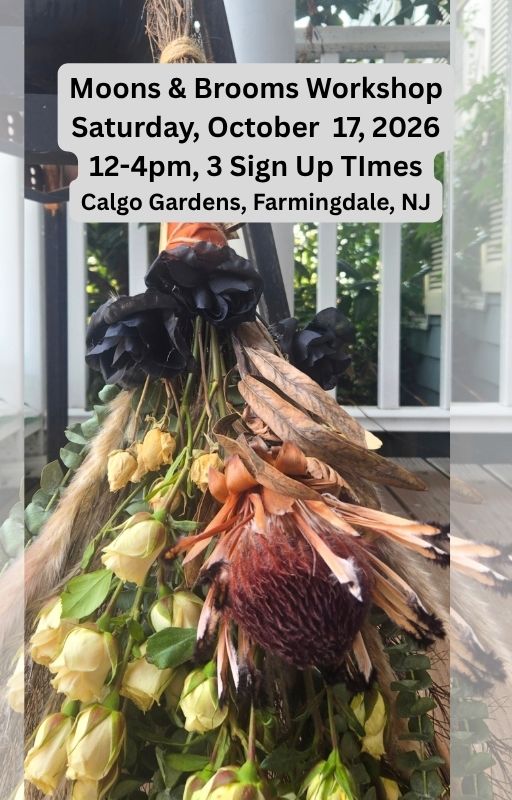 Most Magical Moons & Brooms Workshop