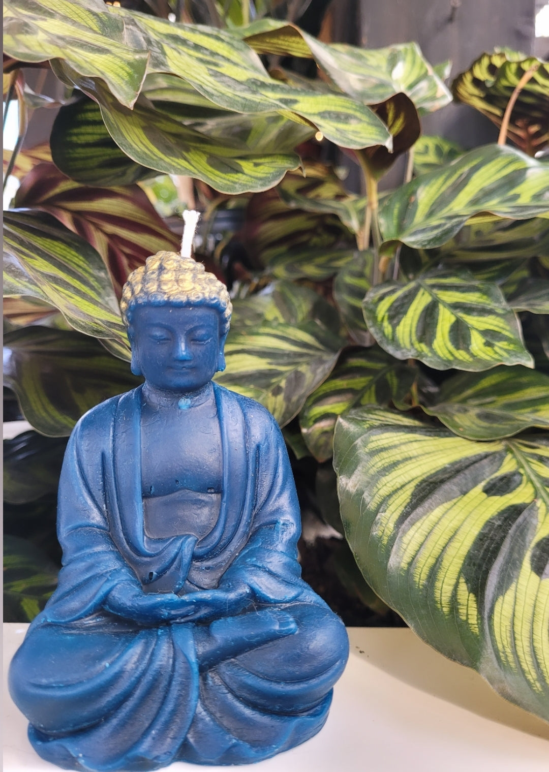 Enlightened Sitting Buddha