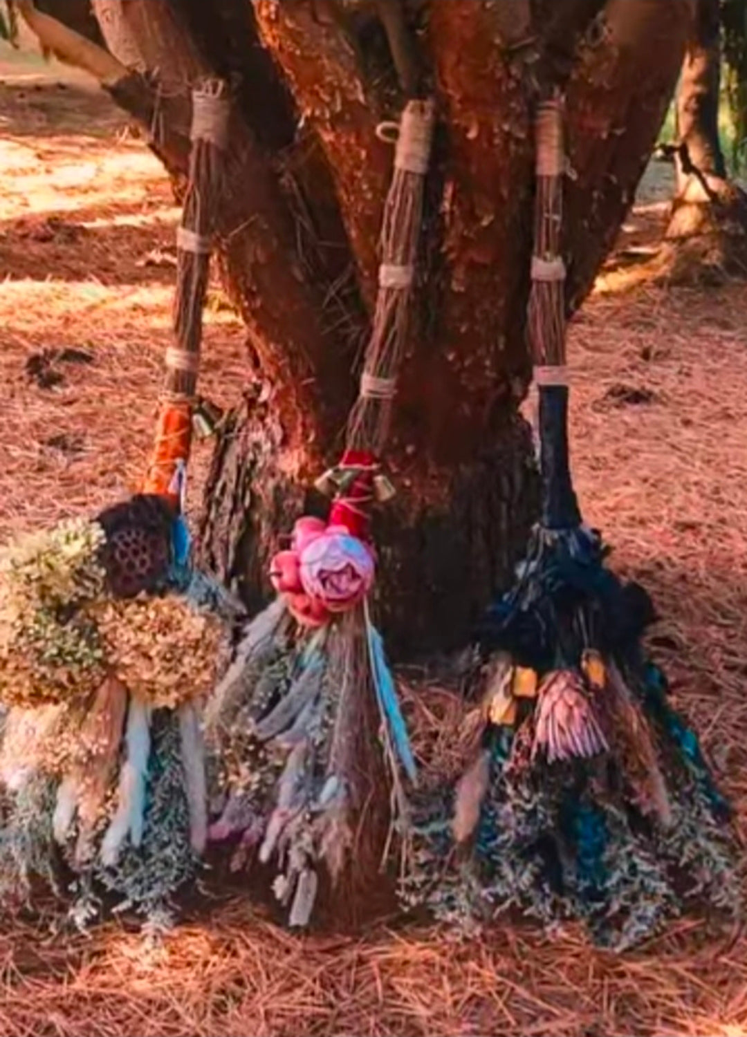 Most Magical Moons & Brooms Workshop